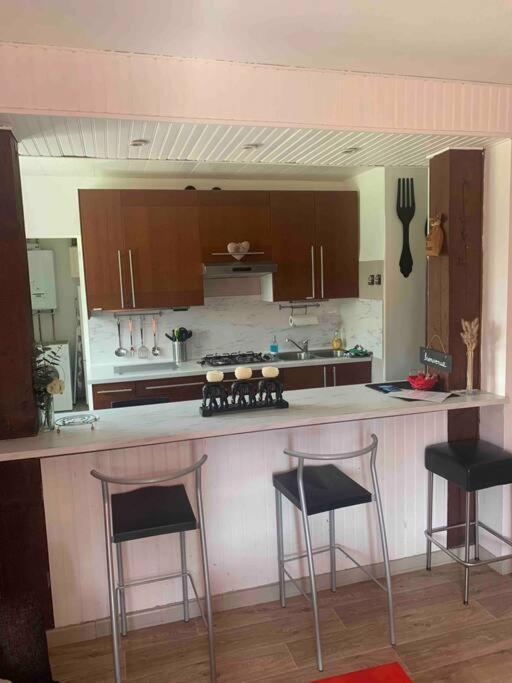 Villa 3 Chambres Parking Et Terrasse Plaisance-du-Touch Dış mekan fotoğraf